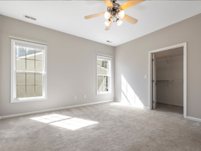 carpet cleaning